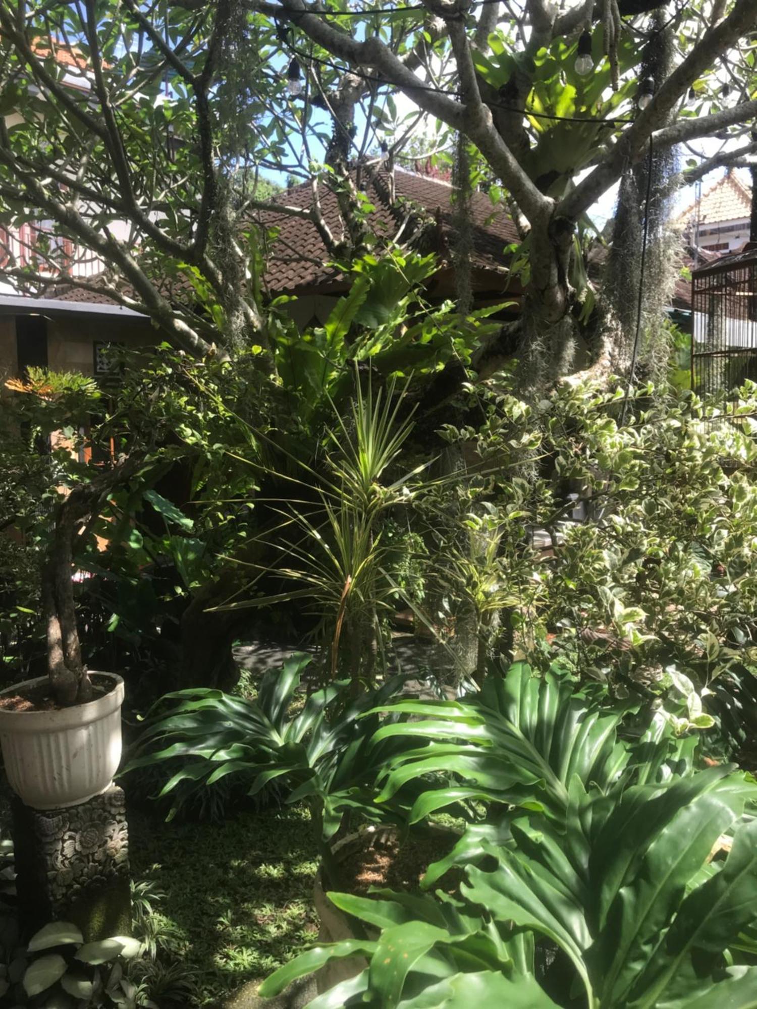 Gus Arditya Homestay Убуд Екстериор снимка